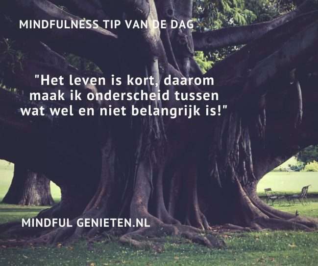 mindfulness-tip-het-leven-is-te-kort