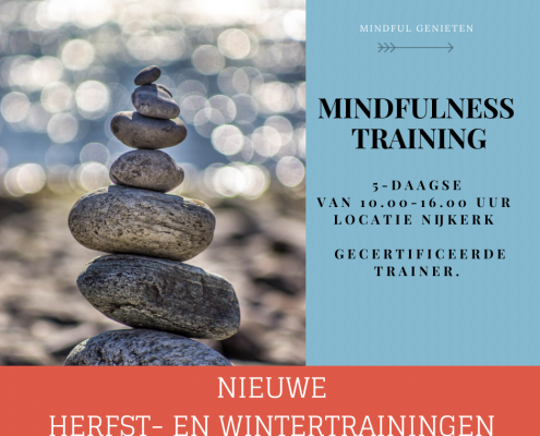 5-daagse-MindFulness MBSR training