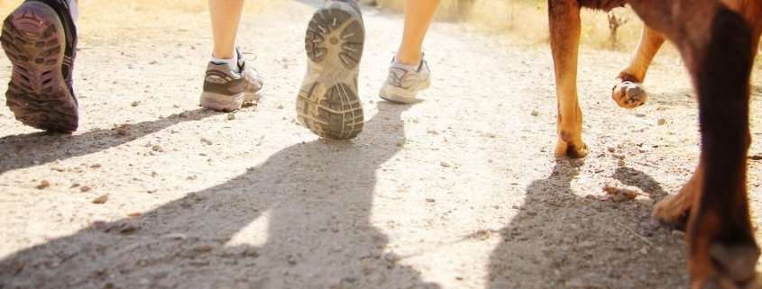 Mindfulness wandelen als medicijn