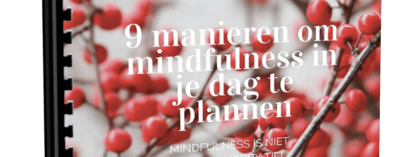 MindFulness-9-tips staand (1) MindFulness-9-tips MindFulgenieten