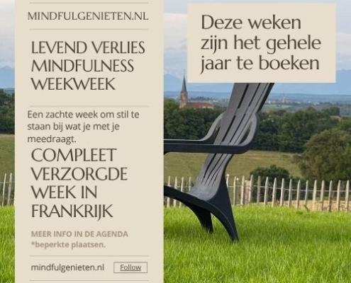 levend verlies mindfulness week frankrijk
