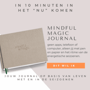 MINDFUL JOURNAL OM IN 10 MINUTEN IN HET NU TE KOMEN EN TE LEVEN MET EN IN DE SEIZOENEN