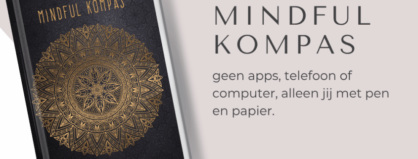 MINDFULKOMPAS-DOE EN DAGBOEK OM IN HET NU TE KOMEN