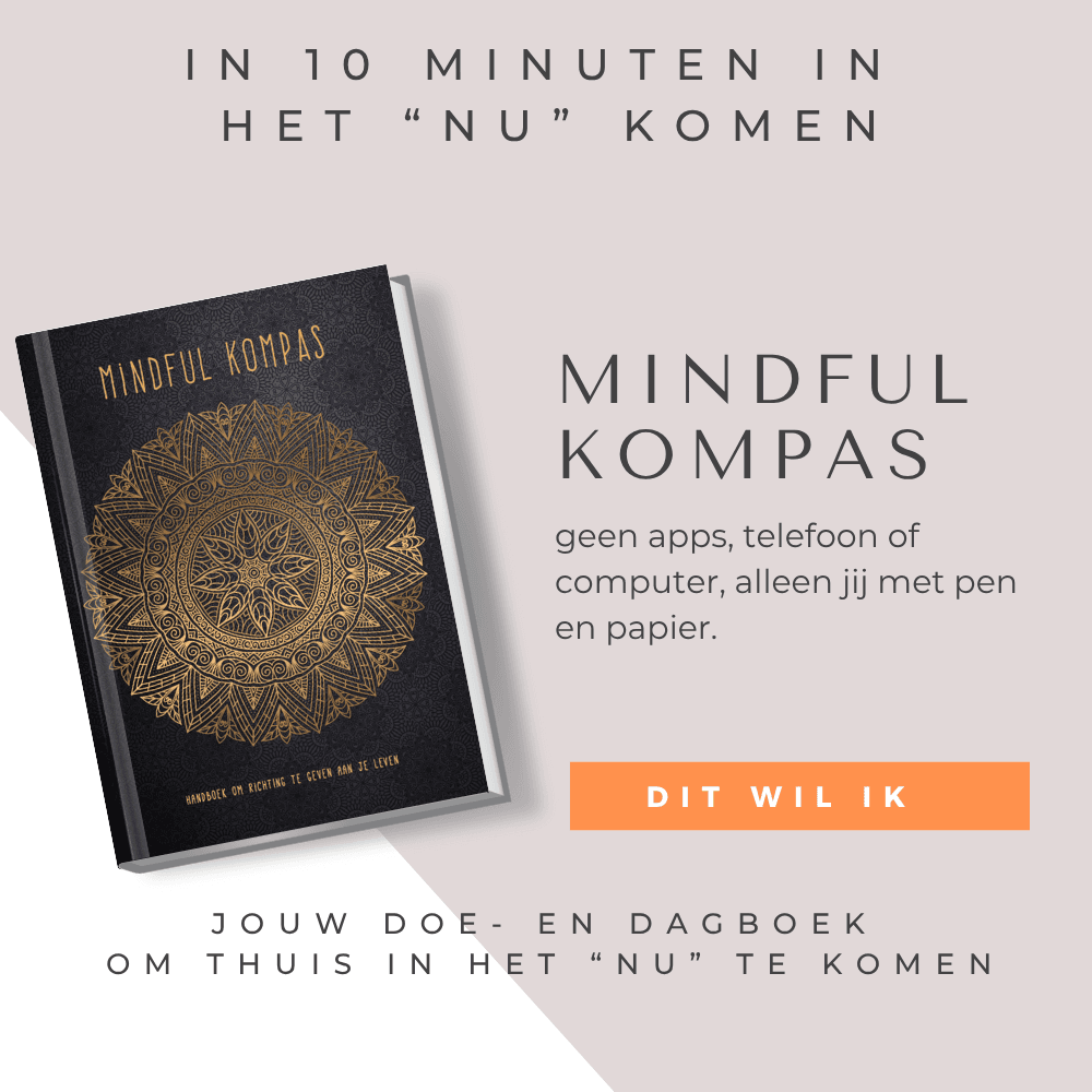 MINDFULKOMPAS-DOE EN DAGBOEK OM IN HET NU TE KOMEN