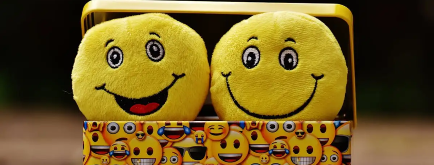 Wat zijn voorbeelden van emoties?